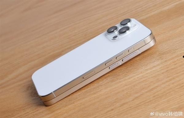 质感拉满！vivo X200 Pro mini设计曝光：哑机中框为磨砂材质  第3张