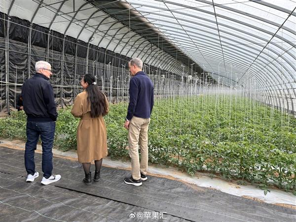 苹果CEO库克现身北京：跟团队一起逛有机农场  第5张