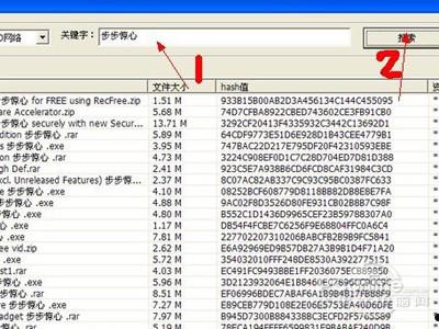 P2P种子搜索器怎么用