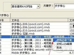 P2P种子搜索器怎么用  第4张