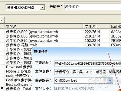 P2P种子搜索器怎么用  第5张