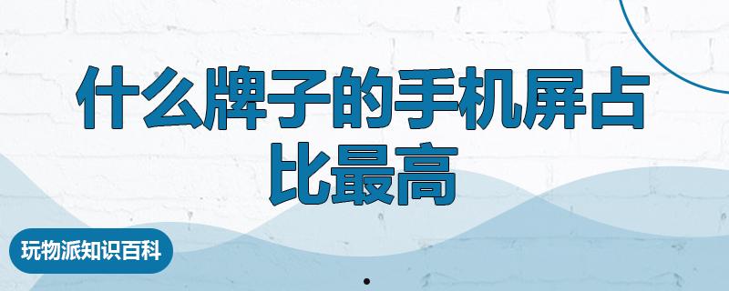 什么牌子的手机屏占比最高  第1张