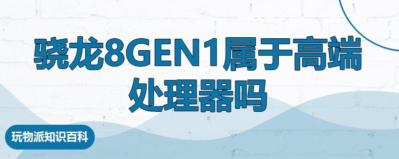 骁龙8gen1属于高端处理器吗  第1张