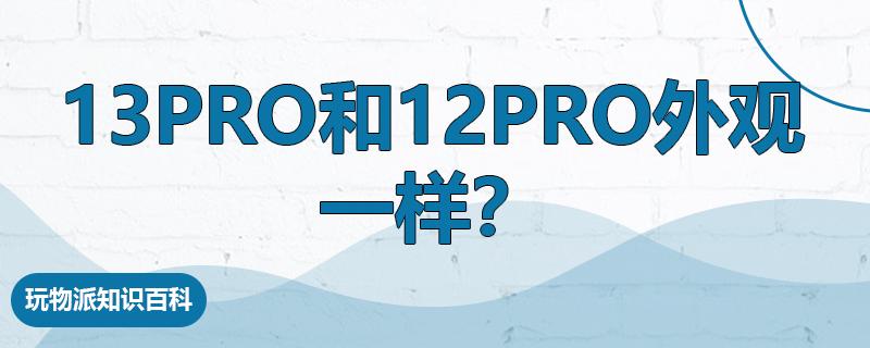 13pro和12pro外观一样？