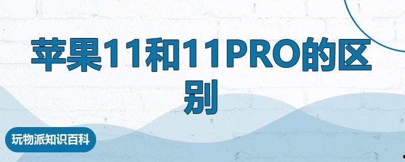 苹果11和11pro的区别