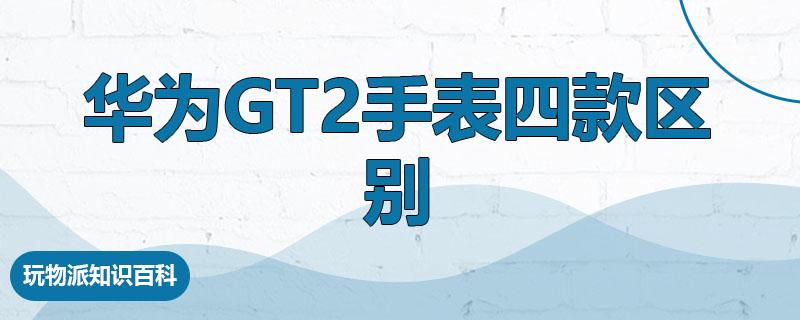 华为gt2手表四款区别