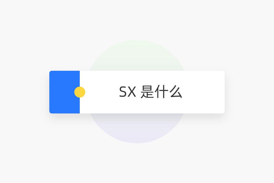 SX 是什么 