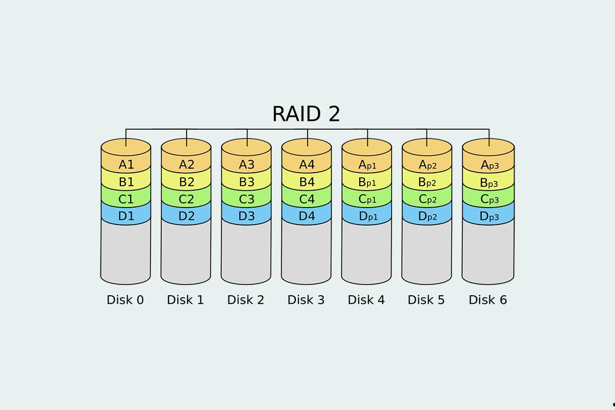 RAID2是什么  第1张