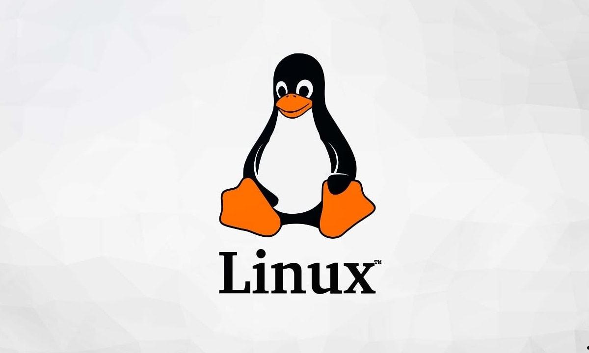 Linux内核与Linux发行版有什么区别 