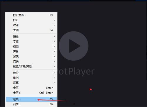 PotPlayer图像处理怎么关闭旋转  第2张