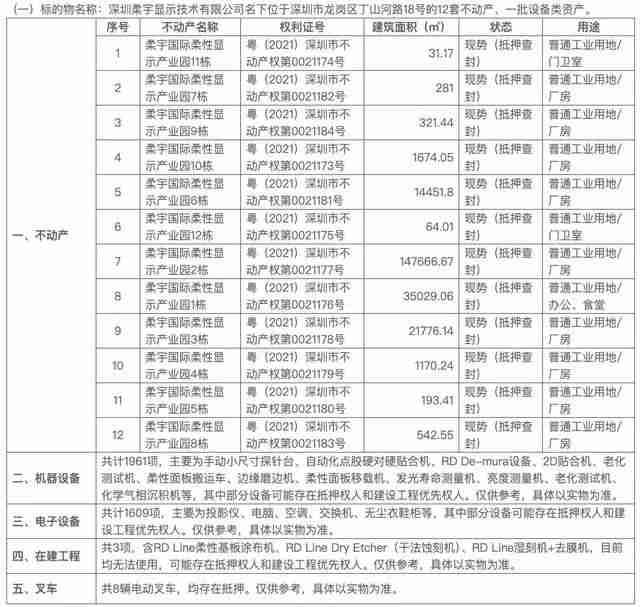 起拍价12.3亿元！柔宇显示名下资产流拍  第3张