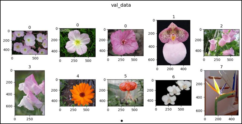 PyTorch 中的花朵  第2张