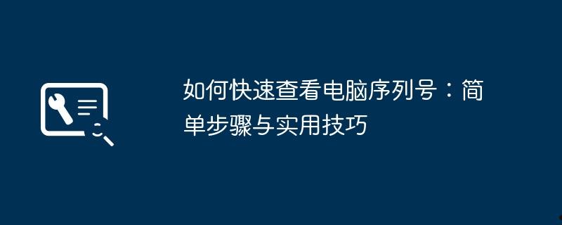 如何快速查看电脑序列号：简单步骤与实用技巧