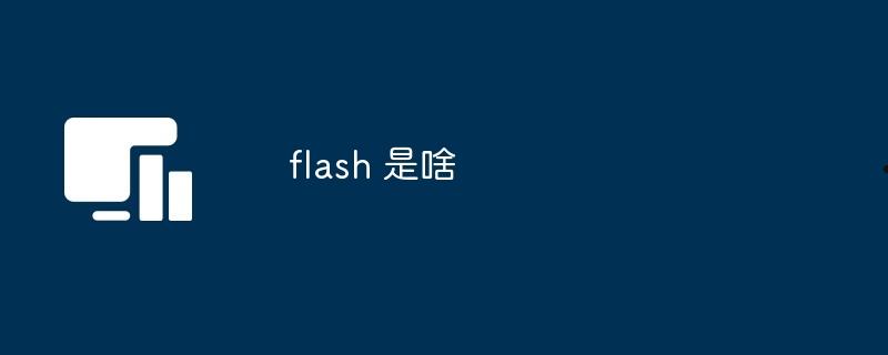 flash 是啥