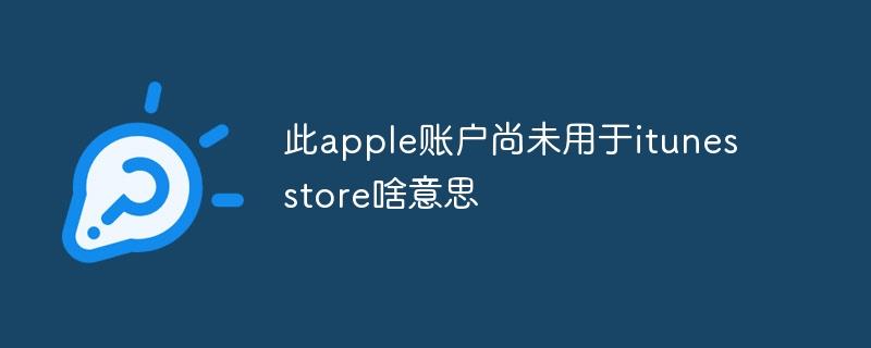 此apple账户尚未用于itunes store啥意思