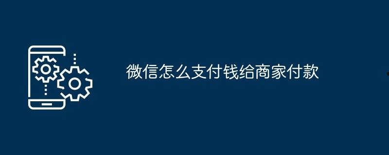 微信怎么支付钱给商家付款