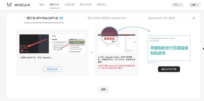 国内用户如何一键自动升级ChatGPT Plus 第5张