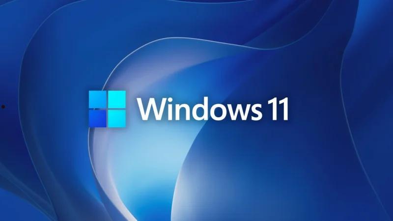 如何设置Windows 11的隐私权限 第1张