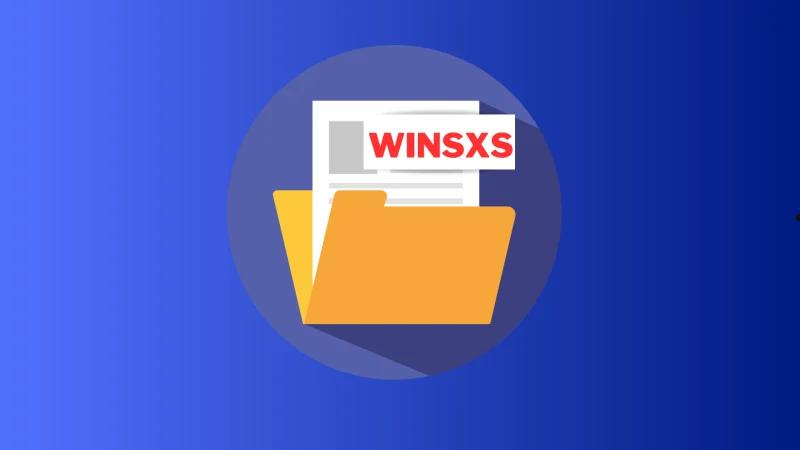 WinSxS是什么文件夹可以删除吗