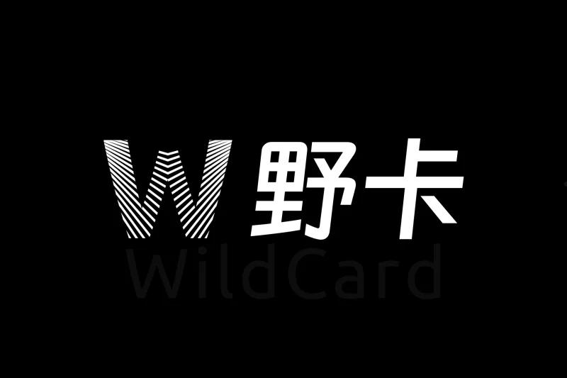 野卡WildCard，轻松订阅ChatGPT、OpenAI充值等海外软件服务 第1张