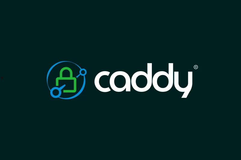 Caddy，现代化的Web服务器和反向代理 第1张