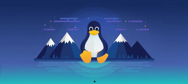 如何选择合适的Linux系统