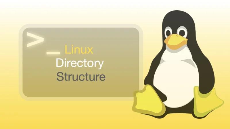 linux系统中的/dev目录有哪些特殊设备文件