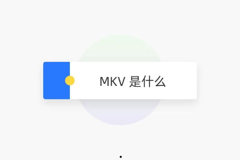 MKV 是什么